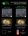 HDMI Output