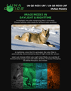 Image Modes